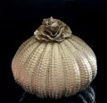 209051 2026 Urn bloem 800